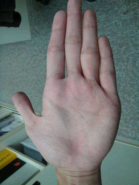 DSC00239.JPG DSC00239.JPG