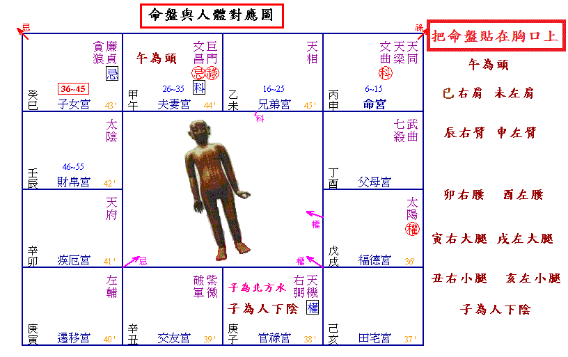 命盤與人體對應圖.jpg