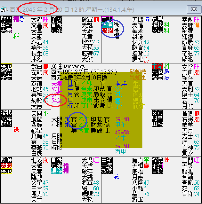 螢幕擷取畫面 2024-12-20 130034.png