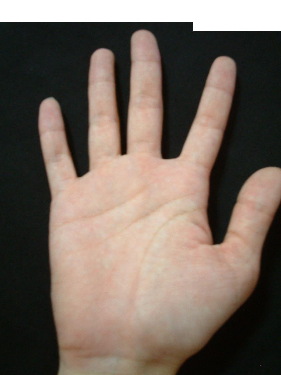 523560-照片 2133785022r.JPG