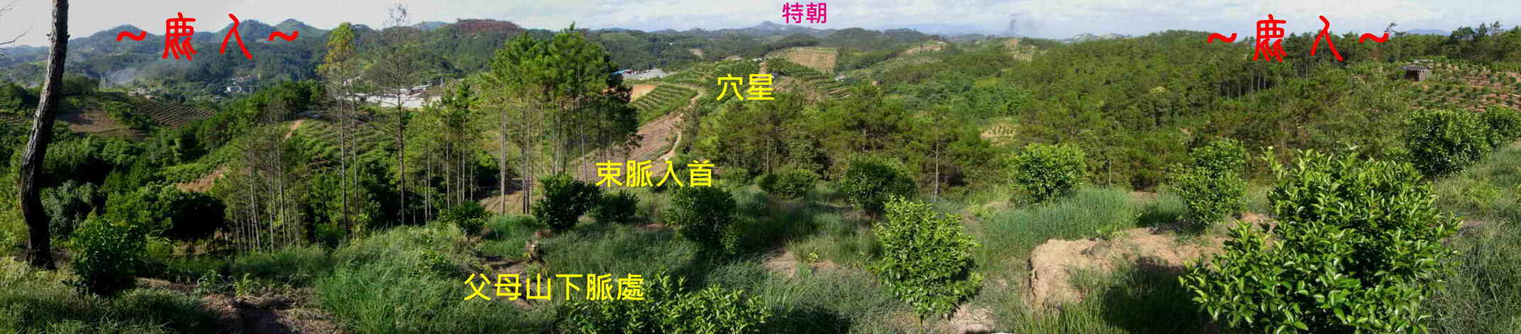 3352598-4在父母山看穴星與龍虎砂堂局全景.JPG