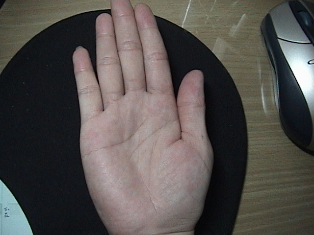 650829-貓照片 065.jpg