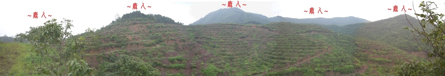 2127479-15複製在父母山看祖山下脈行龍一段全景.JPG
