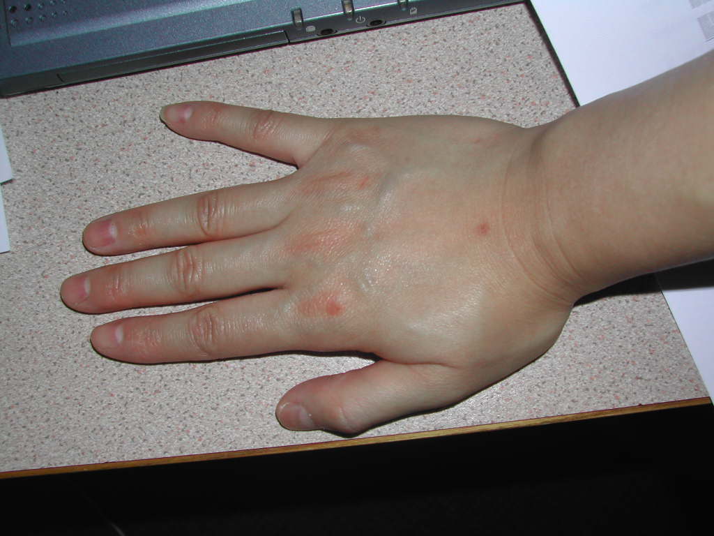 282099-照片 003.jpg