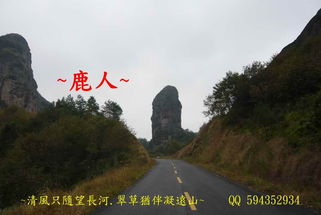 一柱擎天_01jpg.jpg