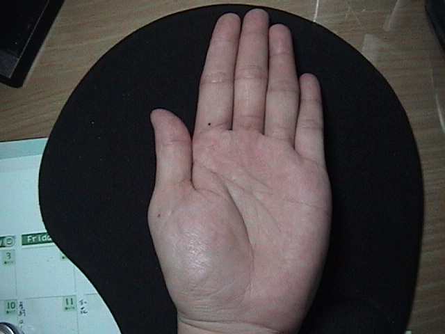 623688-貓照片 059.jpg 623688-貓照片 059.jpg