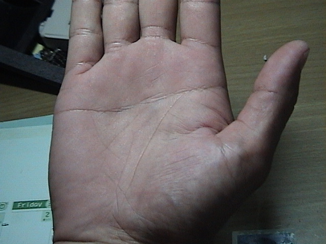 630718-貓照片 161.jpg