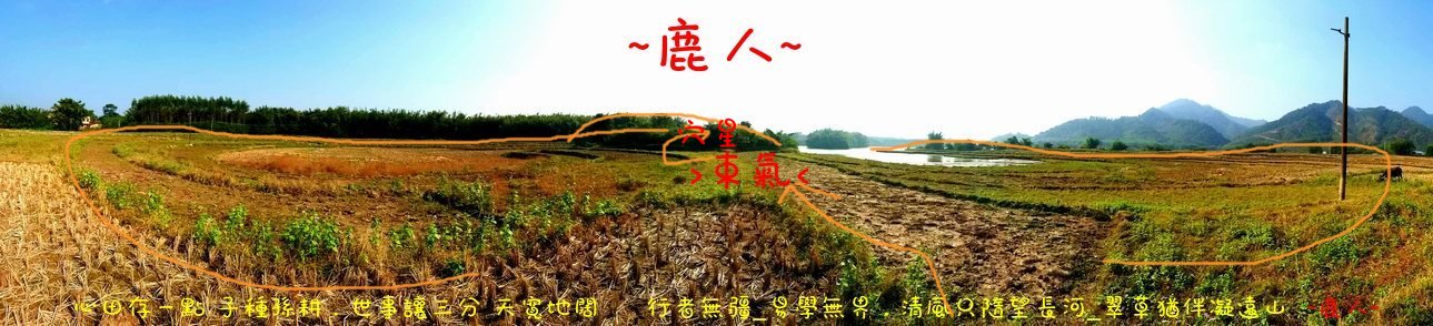 006(標) .JPG 006(標) .JPG