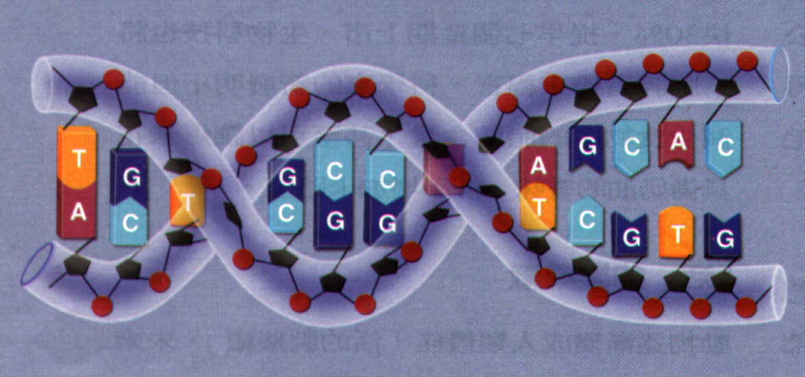 286655-DNA01.JPG