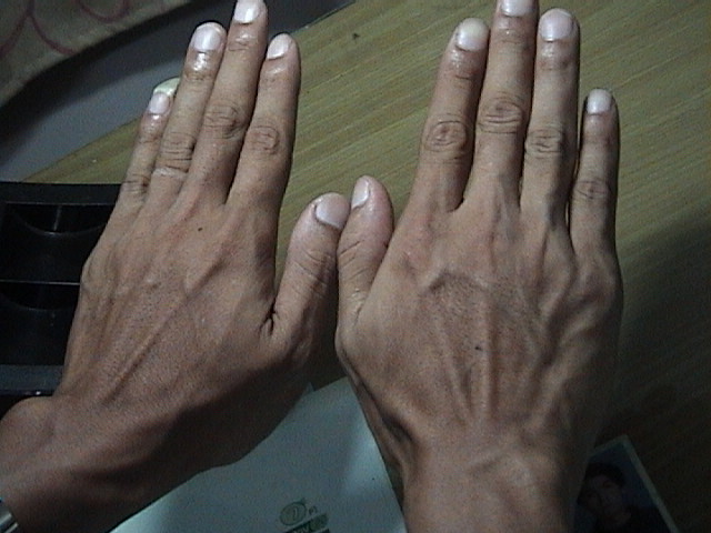 630721-貓照片 163.jpg