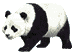 213463-Bears_and_Pandas_Panda_2_prv.gif