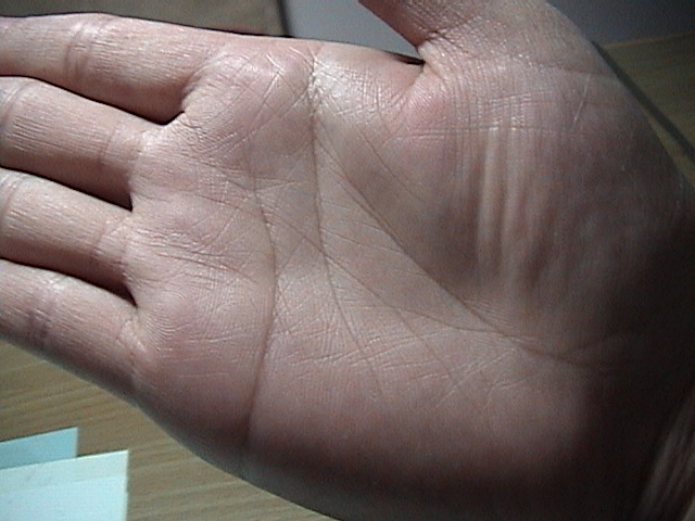 623699-貓照片 152.jpg