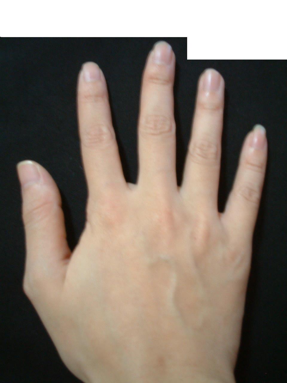 523562-照片 2133785021s.JPG