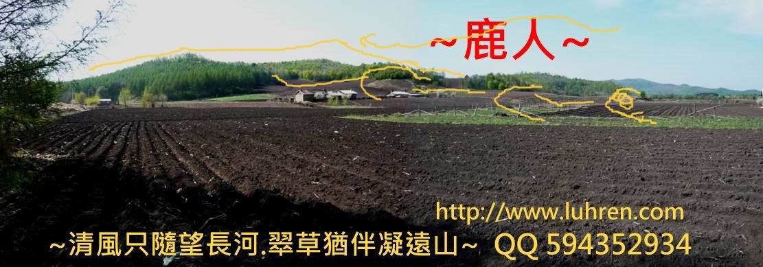 小興安嶺_11(標).JPG .JPG.jpg