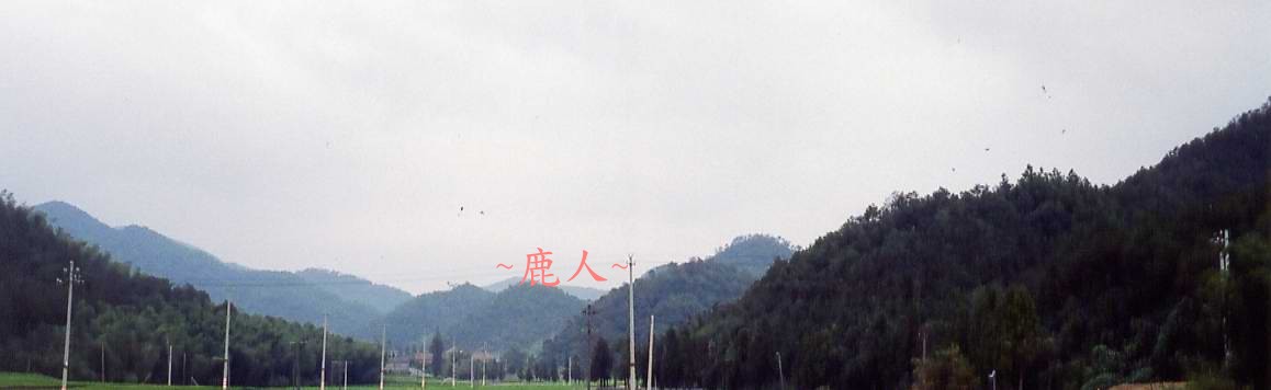 1619685-111(C).jpg 1619685-111(C).jpg