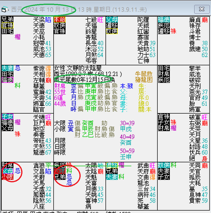 螢幕擷取畫面 2024-10-13 130825.png