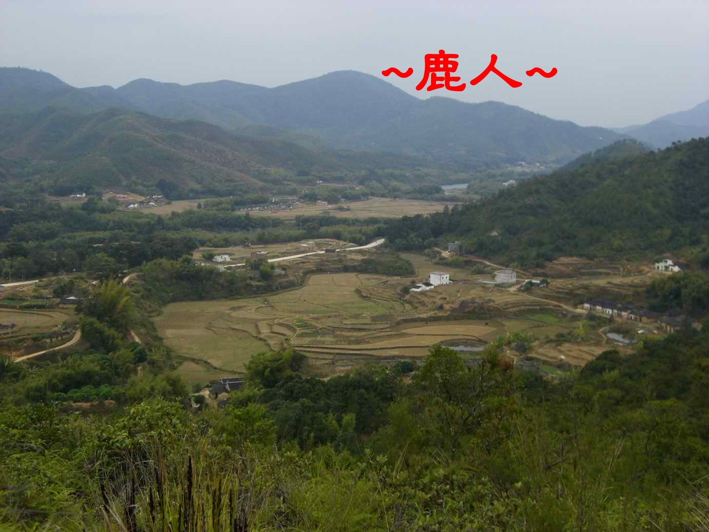 A3登上山頂俯視山下風光照.JPG