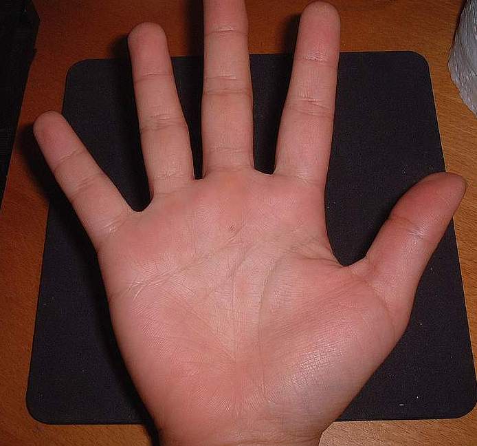 95180-RIGHT HAND.JPG