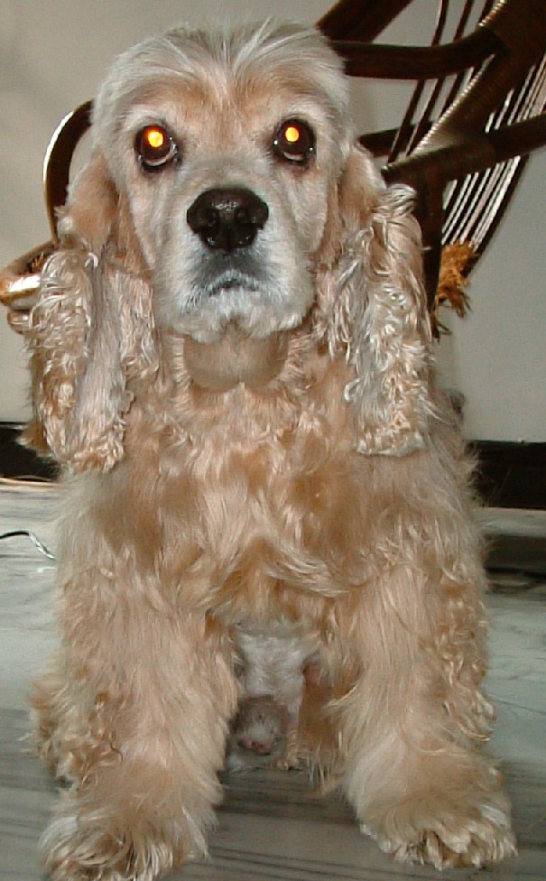 381048-照片 021-1.jpg