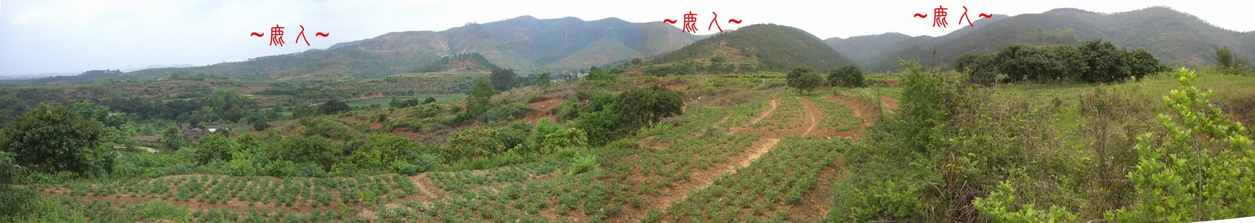 2044329-複製看父母山與右帳砂全景.JPG