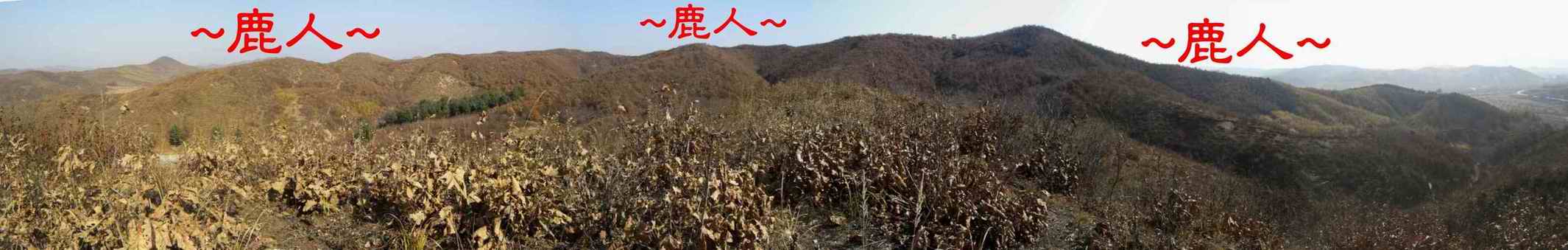 3446057-4看來龍與父母山下脈過峽照.JPG