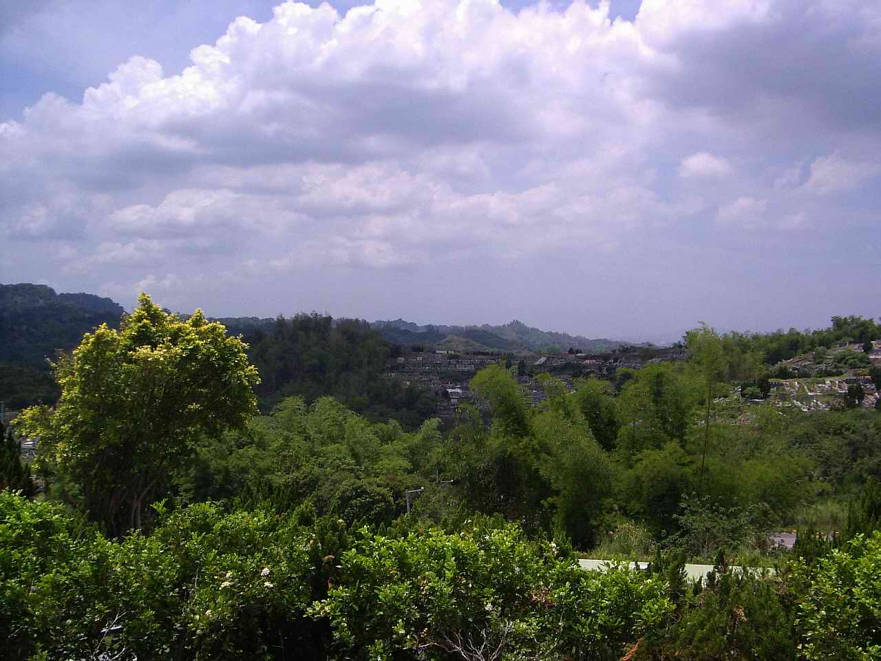 546994-照片 017.jpg