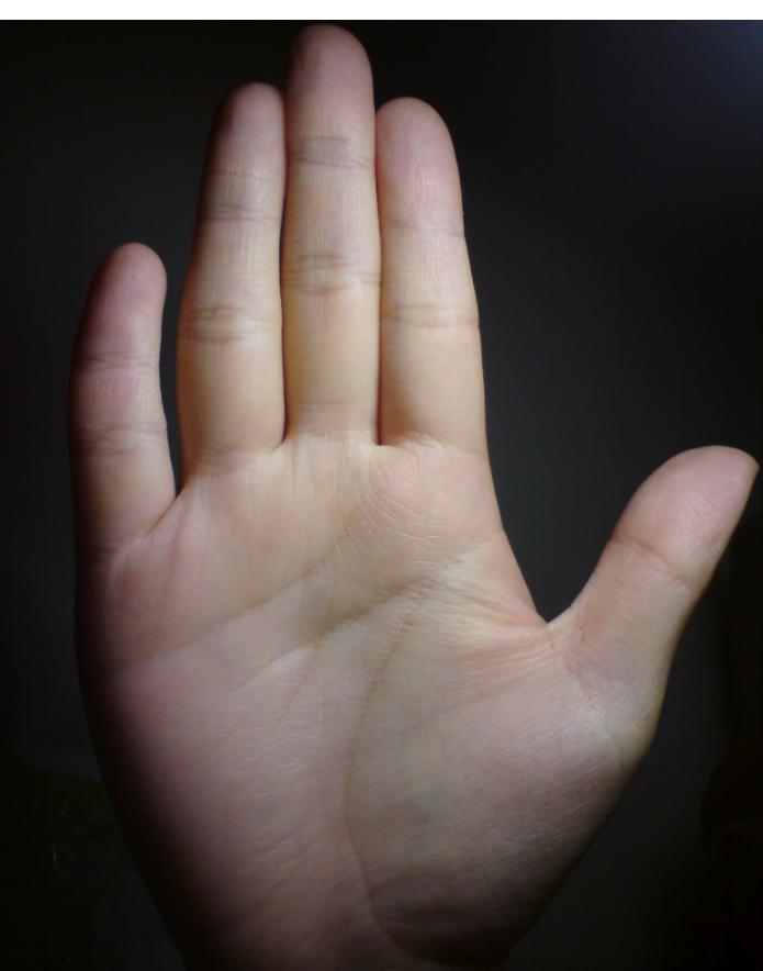 右手心.JPG