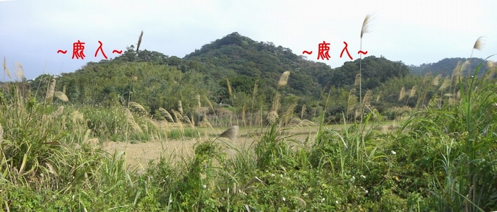 2341572-複製在案山看穴場全景1.JPG