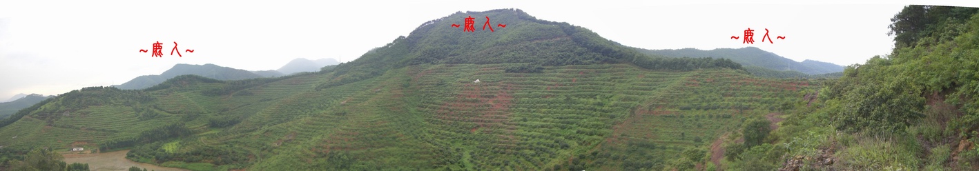 2123568-3複製看來龍與祖山祖山帳全景.JPG