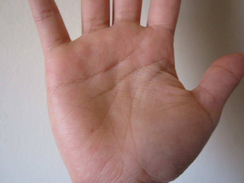 2012-11-20 10.53.46.jpg