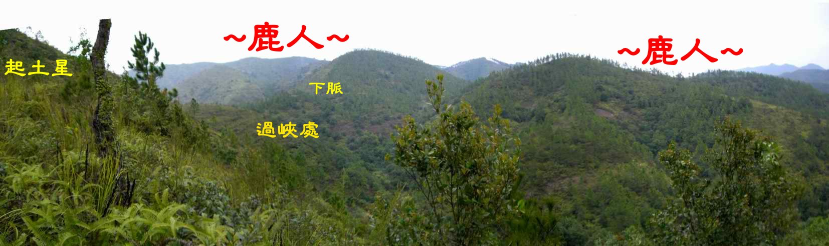 A4山腰側看過峽照.JPG
