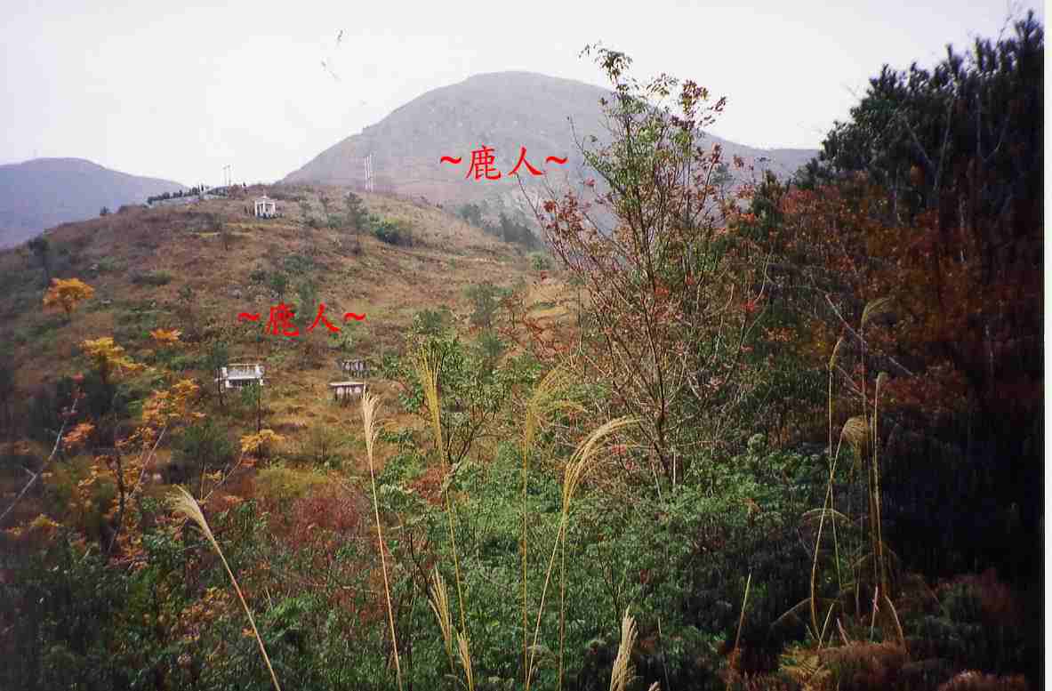 1673018-側看來龍祖山下脈剝換_2.jpg 1673018-側看來龍祖山下脈剝換_2.jpg