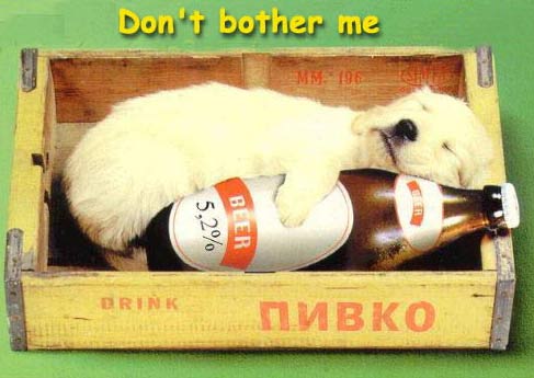 61341-Dont bother me.jpg