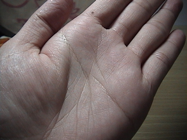 623686-貓照片 141.jpg 623686-貓照片 141.jpg