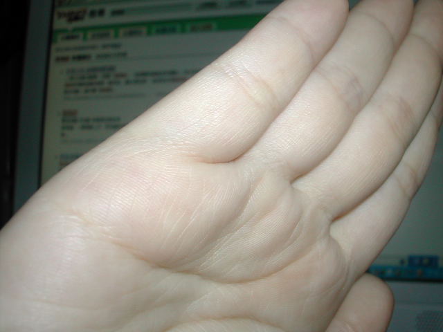 593710-照片 006.jpg