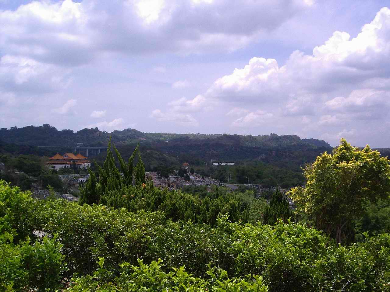 546996-照片 018.jpg