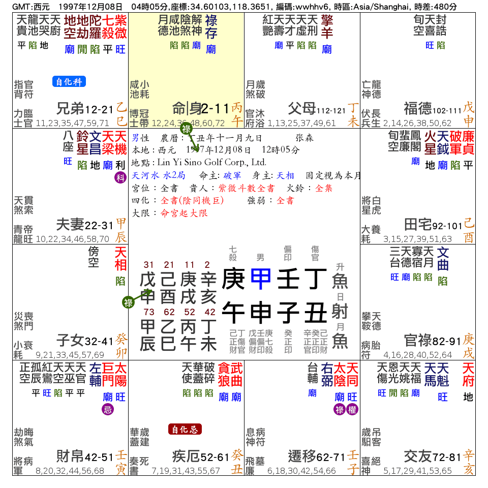 张森_命宮在午_紫微在巳_兄弟宮_.png