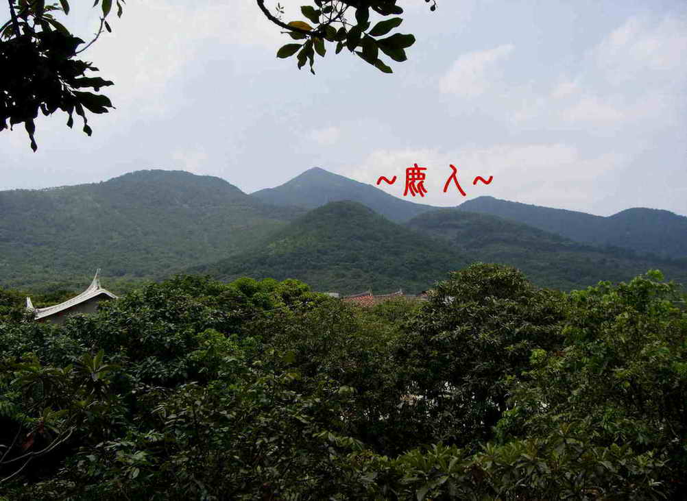 3282676-玉樹林風118.jpg 3282676-玉樹林風118.jpg