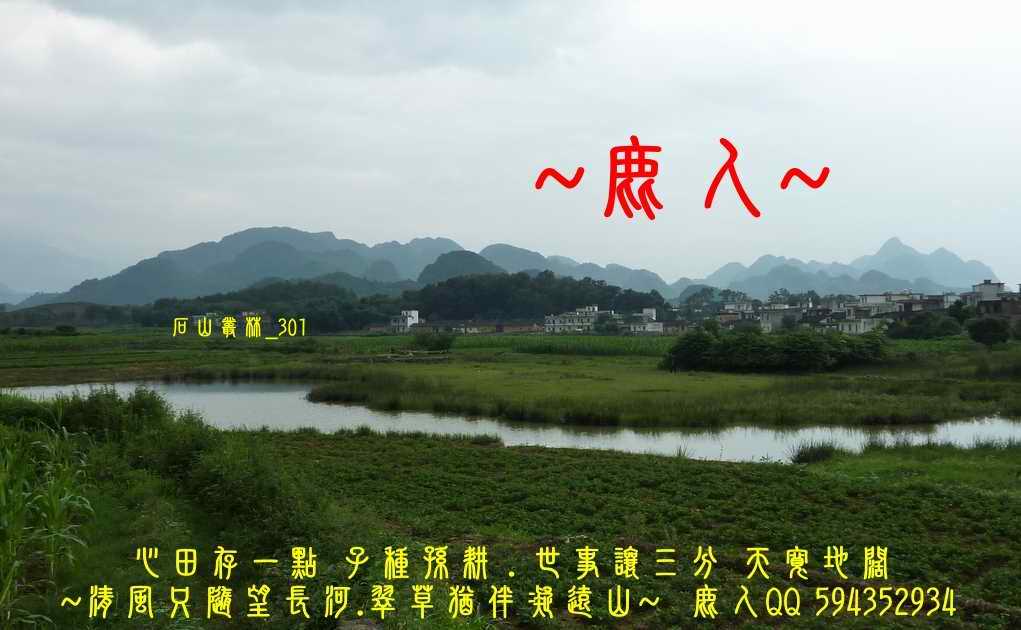 石山叢林_301.JPG