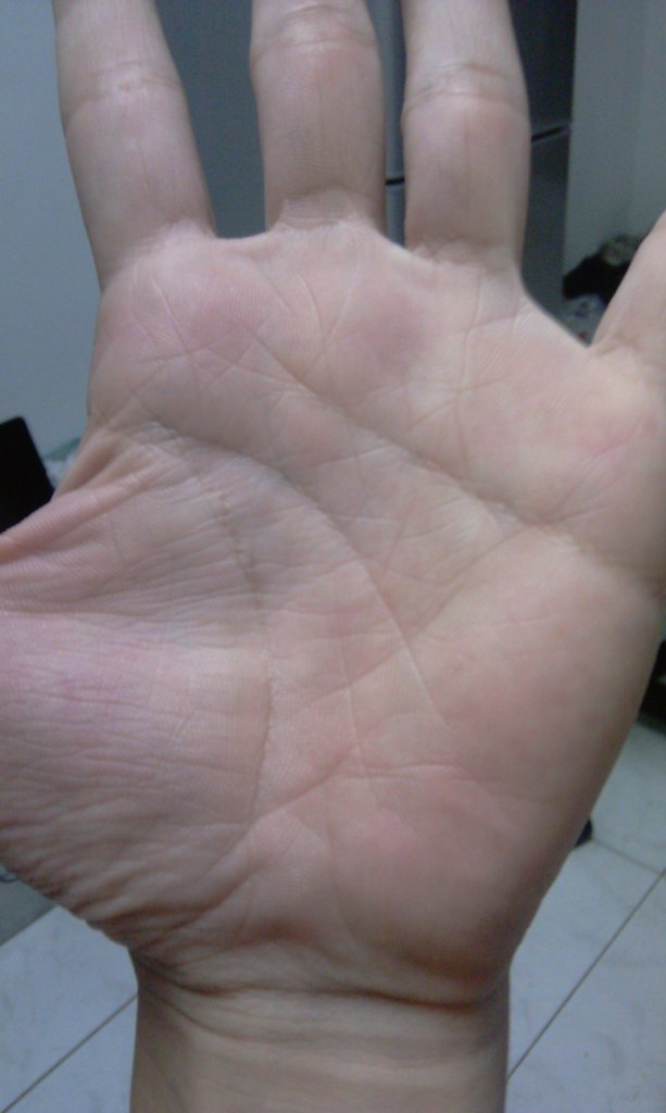 IMAG0012.jpg IMAG0012.jpg