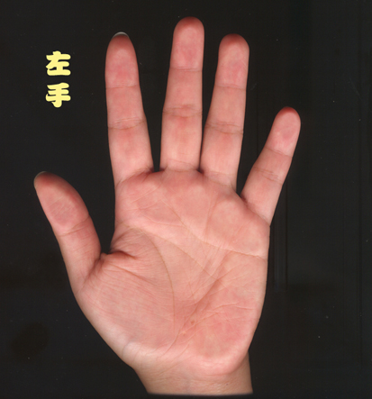 656369-hand - left A.jpg