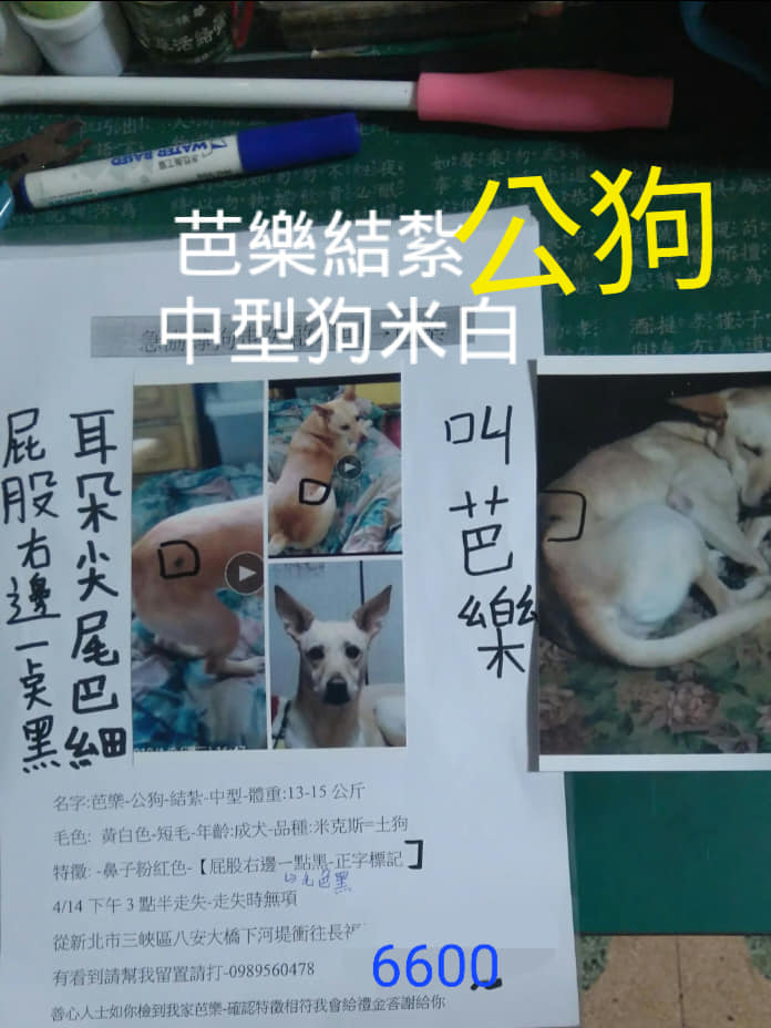 305484671_5689387644415308_885718285906679222_n (1).jpg