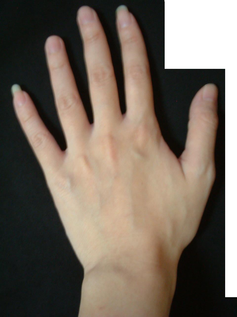 523564-照片 2133785019d.JPG