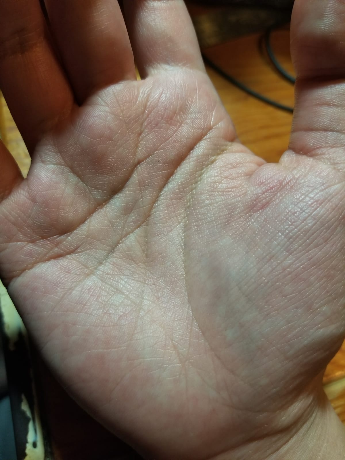 WhatsApp Image 2018-04-08 at 05.18.47.jpeg