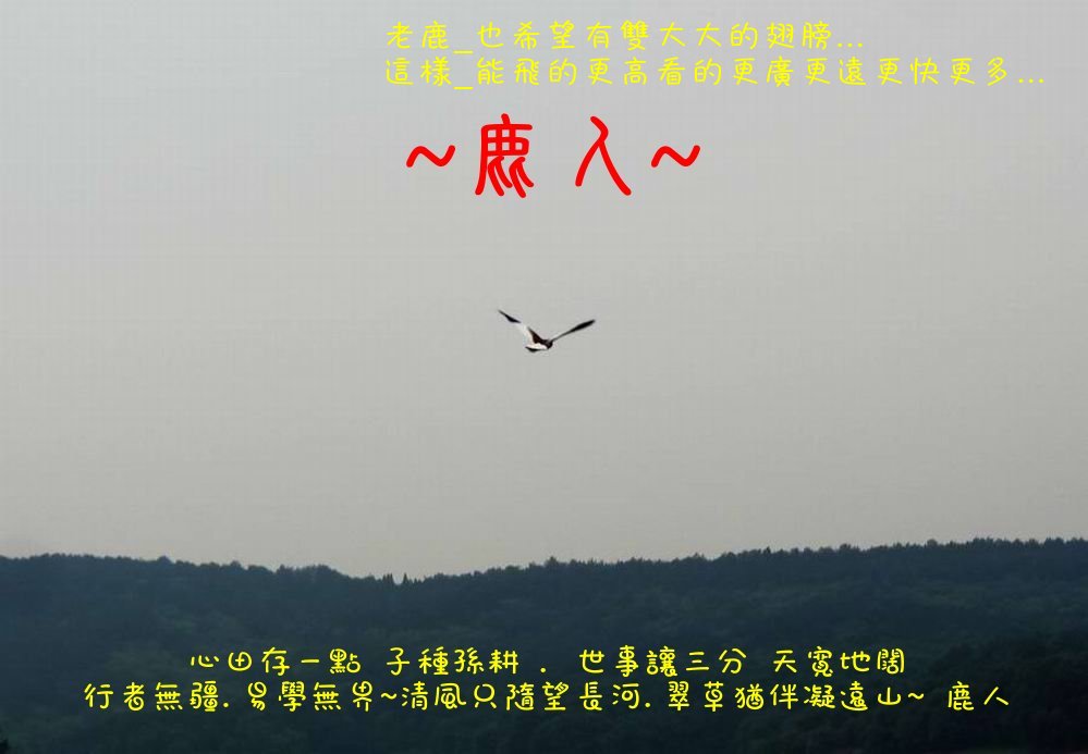 回頭望_湘帥_01.JPG 回頭望_湘帥_01.JPG