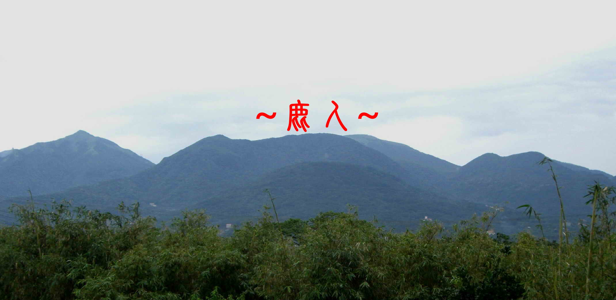 3336772-祖山_大金鐘.JPG