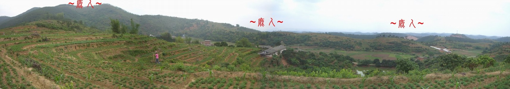 2044327-複製看父母山與左帳砂全景.JPG