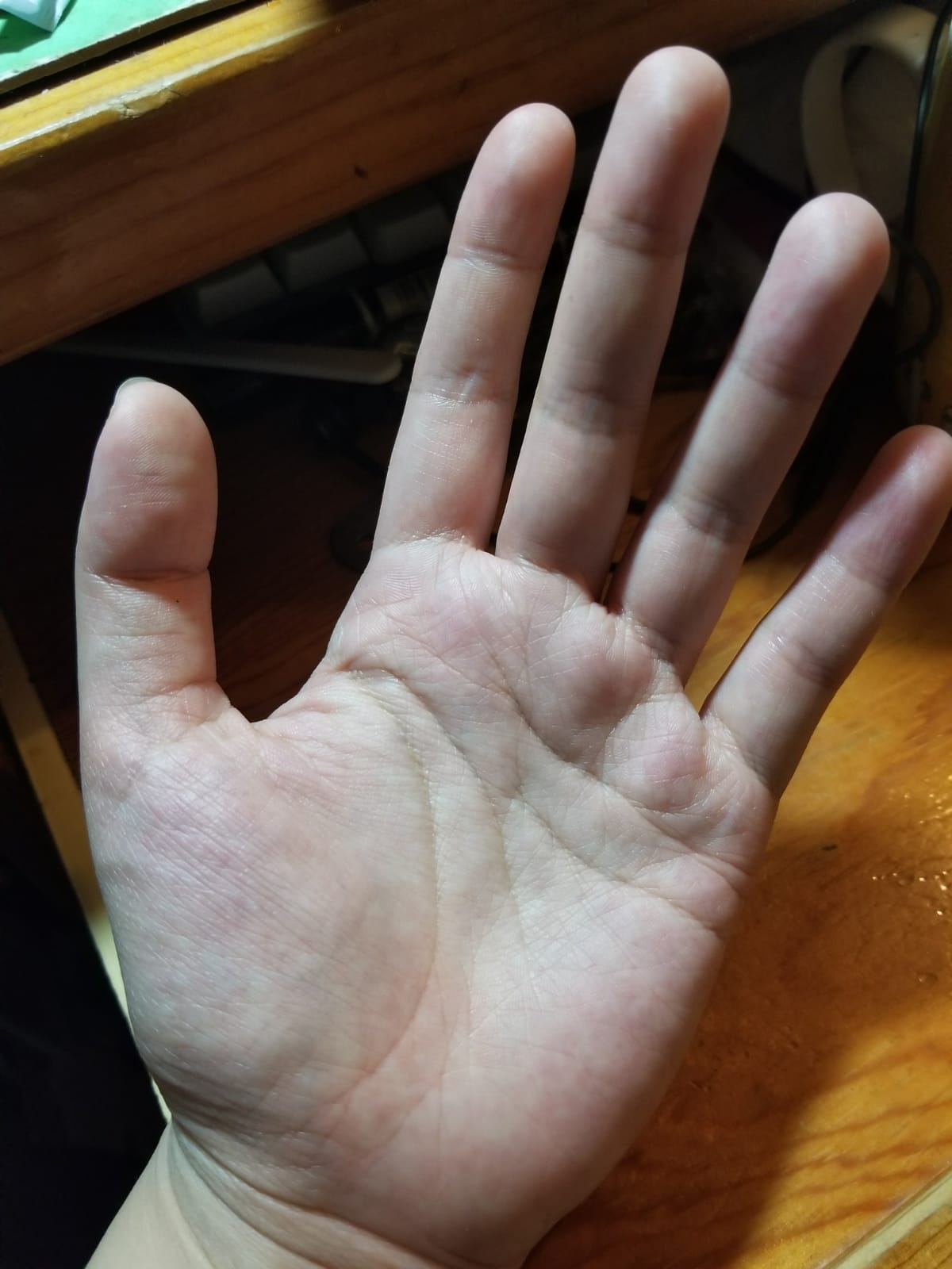 WhatsApp Image 2018-04-08 at 05.18.47 (6).jpeg