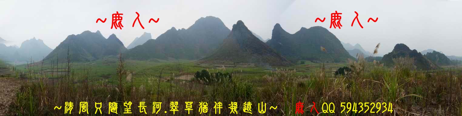 1石山叢林_06.jpg