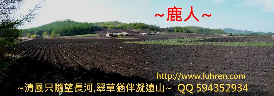 小興安嶺_11.JPG .jpg